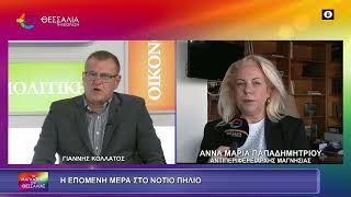 Η ΕΠΟΜΕΝΗ ΜΕΡΑ ΣΤΟ Ν. ΠΗΛΙΟ_ΑΝΝΑ ΜΑΡΙΑ ΠΑΠΑΔΗΜΗΤΡΙΟΥ 29 10 2026 Η ΕΠΟΜΕΝΗ ΜΕΡΑ ΣΤΟ Ν. ΠΗΛΙΟ_ΑΝΝΑ ΜΑΡΙΑ ΠΑΠΑΔΗΜΗΤΡΙΟΥ 29 10 2026