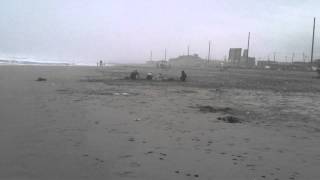 preview picture of video 'Playa La Punta, Invierno 2013, Camana, Peru'