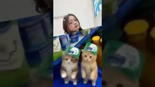 Download lagu kasir Indomaret viral ada di pin komentar mp3