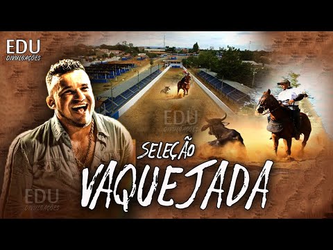 Forró de Vaquejada Raiz Junior Vianna 2024 - 0Vaqueiro Bruto das Vaquejadas (ATUALIZADO)