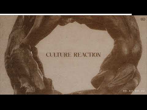 Fsauto - Culture Reaction