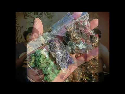 tose Los Rimasaurios Dejavu + IronSoul + GhettoMan + Cy + Toño