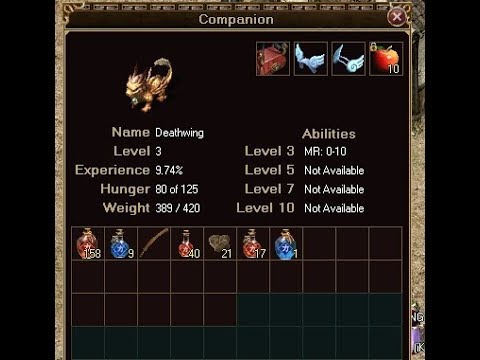 Zircon Legend of Mir  - COMPANION GUIDE