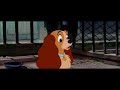 Lady And The Tramp 1955 He S A Tramp