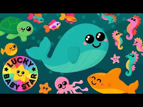 🐳 Baby’s First Under the Sea Adventure for Toddlers & Babies🐬🐡