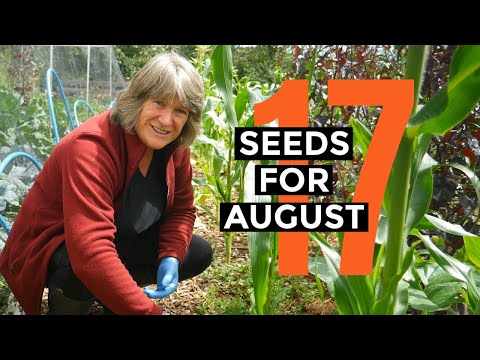 What to Sow in August | Easy to Grow Food | Self-sufficient Vegetable Garden.