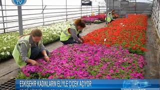 Eskişehir, kadınların eliyle çiçek açıyor