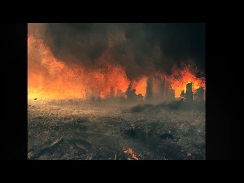 PIERIN - WILDLIFE [85 PROD]