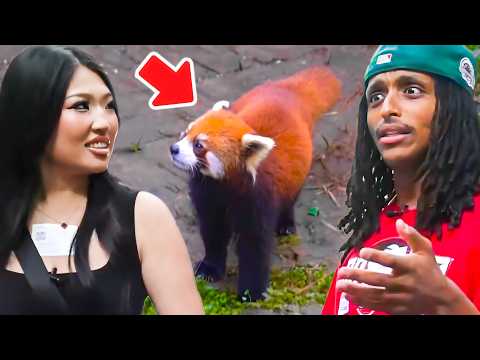 Nina Lin & Agent Visit The Biggest Panda Zoo In The World!