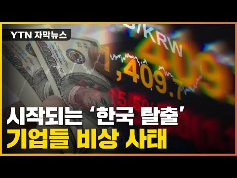 [자막뉴스] 자본 유출 '일촉즉발'...쓰나미 쇼크에 韓 기업들 '비상' / YTN