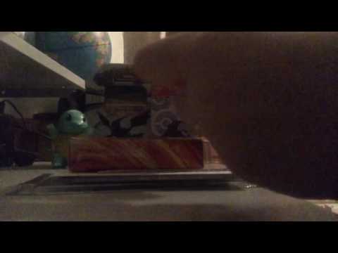 Aprite con me i Pokémon