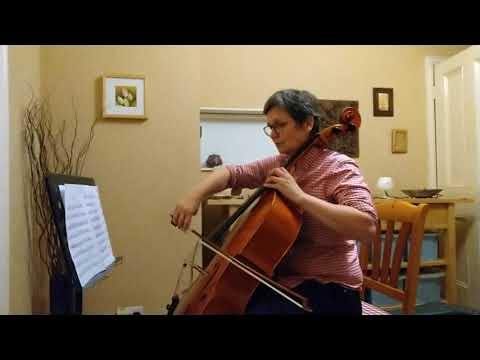 A Trowell Arlequin adult cello learner 14 months