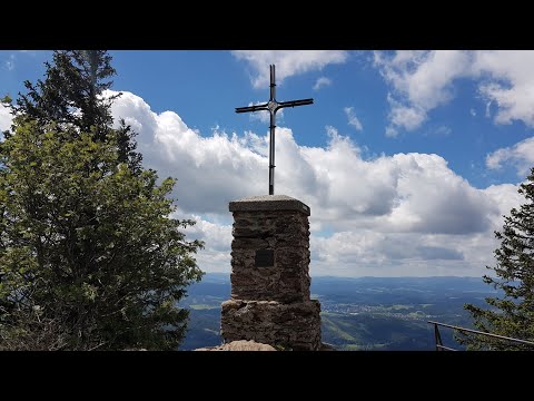 🚵 MTB Tour ⛰️ Großer Falkenstein 🍻 Schwellhäusl  #MyKomootStory Großer Falkenstein Schwellhäusl