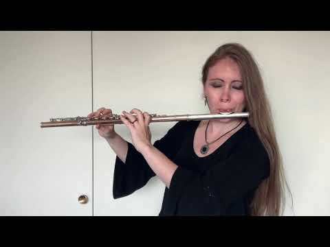 Equilibrium - Uns’rer Floten Klang - play along cover | Folk Metal Flute