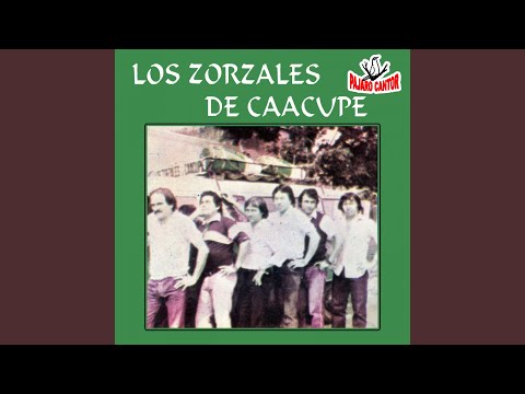 Reka´u Ha Nde Celoso