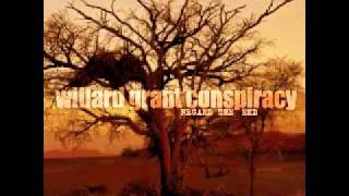 WILLARD GRANT CONSPIRACY  -  SOFT HAND