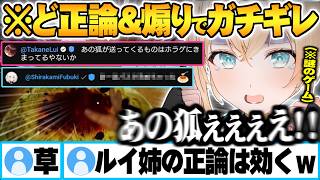 フブさんからのプレゼント(罠)でパスタを殴っていたらルイ姉からど正論で殴られフブさんにも煽られるござる【風真いろは 鷹嶺ルイ 白上フブキ ホロライブ 切り抜き Vtuber】