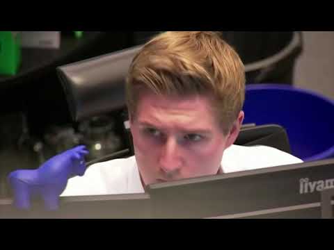 道瓊斯指數創歷史新高，拜登轉型 (Dow hits all-time high on Biden transition)