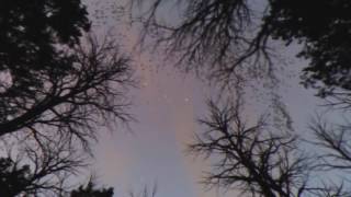 Alain Maclean - Talking Judgement Day Blues (Late Night Tales: David Holmes)