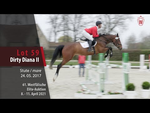 61. Elite-Auktion Trainingsvideo Lot 59 Dirty Diana II Stute v. Diarado - Balou du Rouet