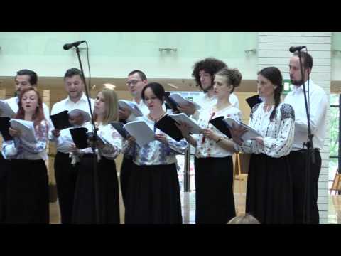 Canticum Bucharest - Mocirita cu trifoi -Ceteruca lemn de fag - aranj V.Stoica & R. Rados