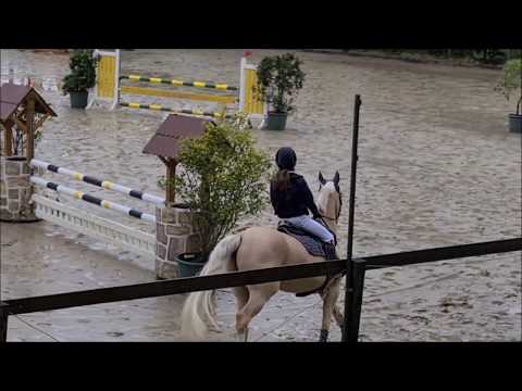 Malu (11) und Dancer - SIEG im A* in Erkrath am 05.06.2020