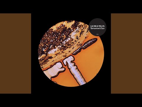 Tabernacle (feat. Ill Conscious)