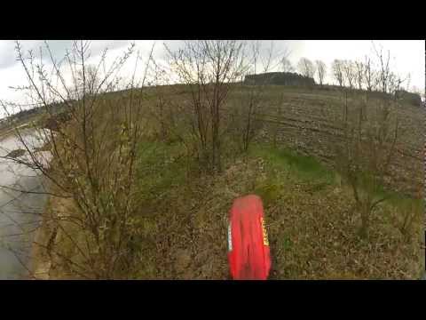 Der König und sein Narr ;)