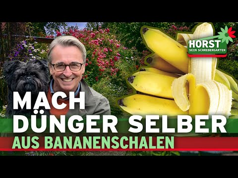 Du wirst nie mehr Bananenschalen wegwerfen, wenn Du das siehst I Horst sein Schrebergarten