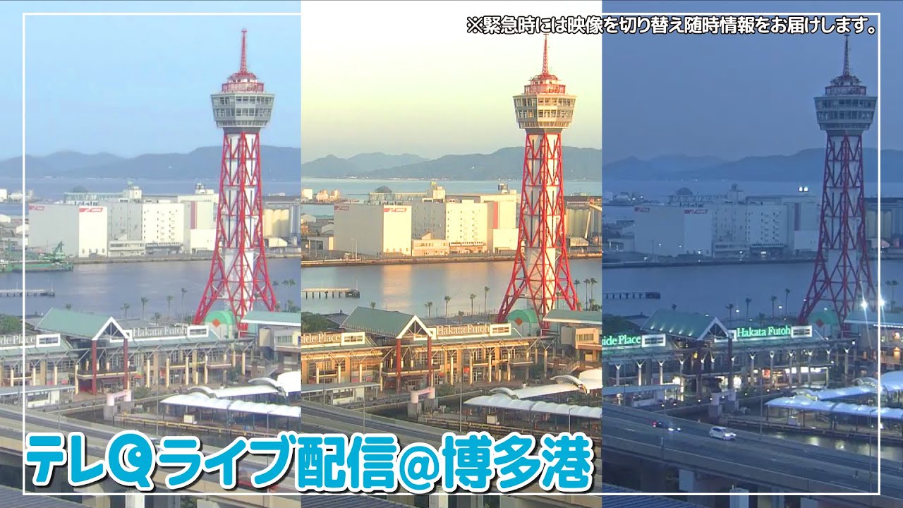 Fukuoka Hakata Port Live