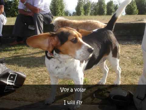 Hey hey hey mira a esa chica