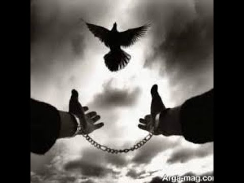 نوحه اکبر باخ علیرضا اسفندیاری -Alireza Esfandiyari