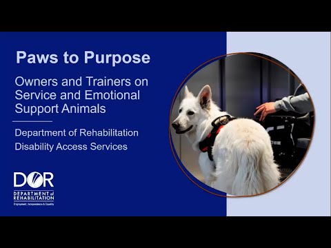 Paws to Purpose thumbnail