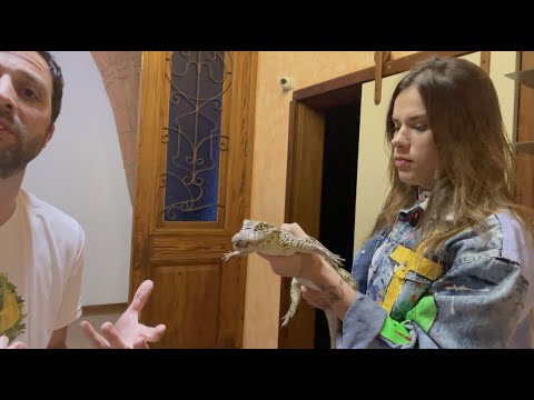 A PARAGUAIA SEGUROU UM JACARÉ