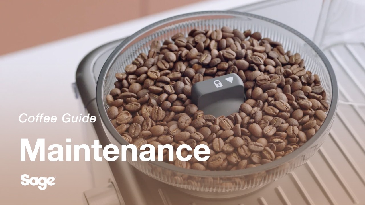How to clean grinder conical burrs