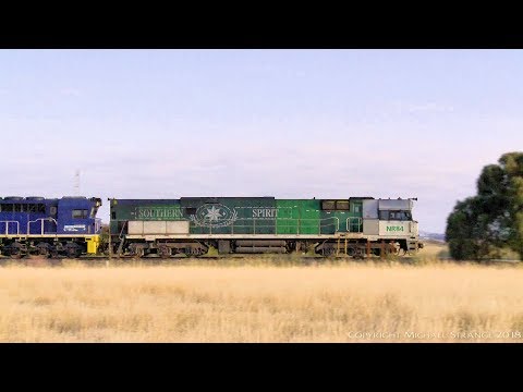 AM5 with NR84 (Southern Spirit), 8223, 8115 - PoathTV Australian Trains & Railways