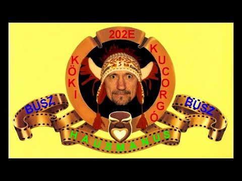 202E BUSZ KÖKI - KUCORGÓ TÉR