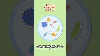 毎日味噌汁を飲むと体はどうなる？知られざる健康効果とは