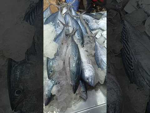 #music #slowedandreverb #remix #halloween #beats #fish #ihavethisthingwithplants #fishkating