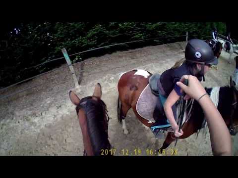 Cours [ Cambox isis ] Vive les jeux à poney !!