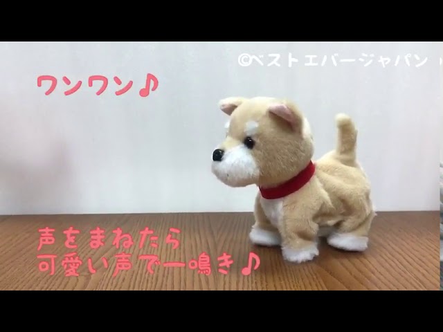 Shiba talking hotsell to toy
