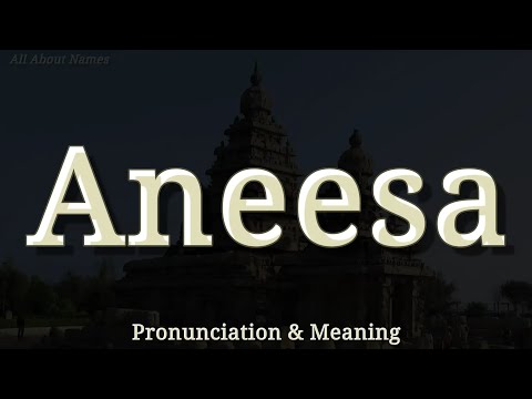 Aneesa: Pronunciation and Meaning 