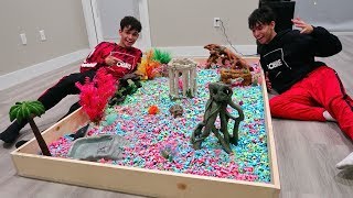 BUILDING OUR TURTLE HER DREAM HOME!