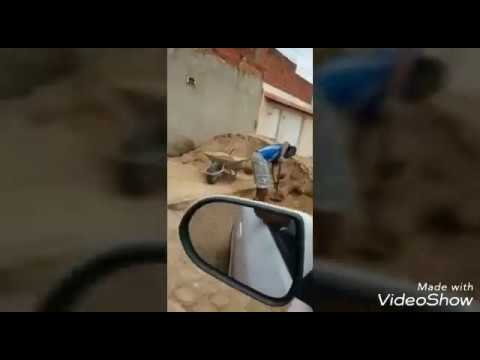 Pergunta idiota tolerância zero ( parte 1)