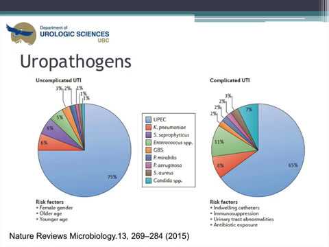 Recurrent Urinary Tract Infections in Women: The Role of the Urologist