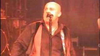 Steve Steinman - Out Of The Frying Pan Into The Fire