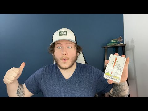 (All Signs) DAILY TAROT READING! - FEBRUARY 18TH! 🧿😎❤️👍🏼