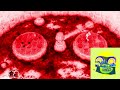 RQ Mario Party Superstars Burnstile G Major 54