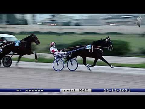 Aversa trotto 22 Dicembre 2021 - 4° Corsa