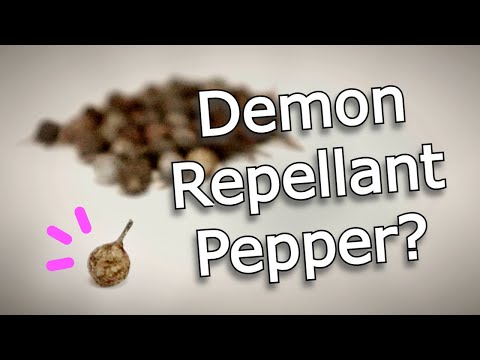 CUBEB PEPPER - The Strange History & Uses Of This Fascinating Spice - Spice Finds